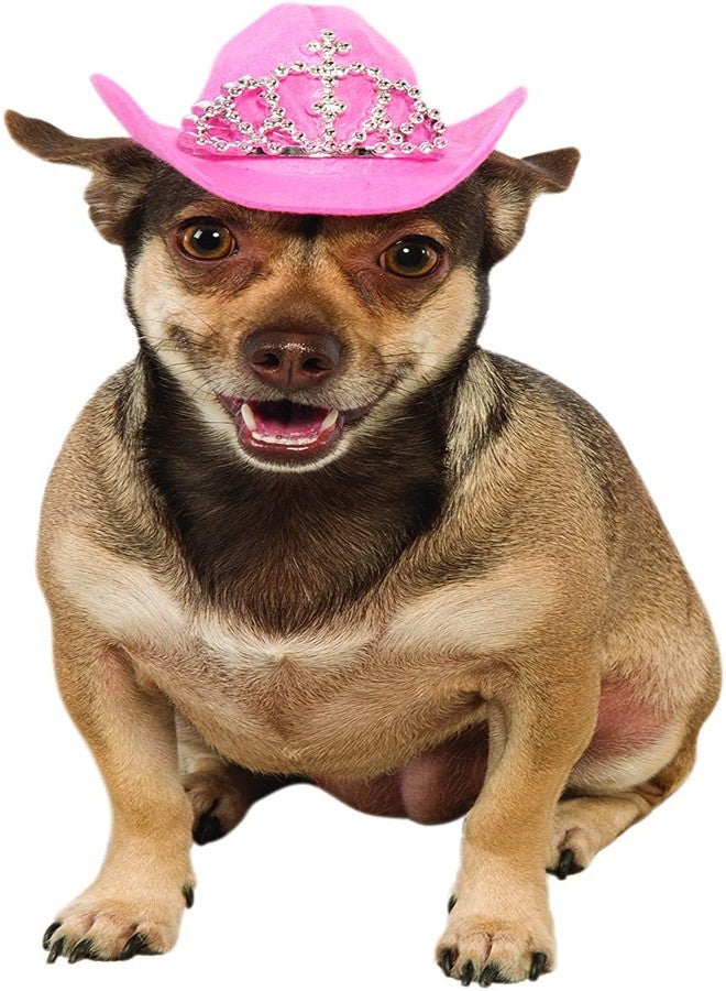 روبيز قبعة روبيز رعاة البقر للحيوانات الأليفة مع تاج صناعي للكلاب أو القطط، مقاس صغير/متوسط - Image 1